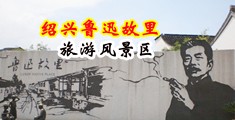 黄色代搞鸡巴视频中国绍兴-鲁迅故里旅游风景区