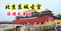 黑丝小马甲暴艹出水中国北京-东城古宫旅游风景区